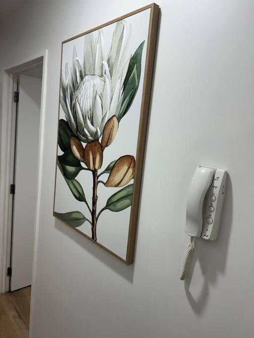 Stunning 3 Bd - 2 Bth City Apt - Pool & Carpark Окленд Экстерьер фото